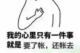 湘西债务清欠服务